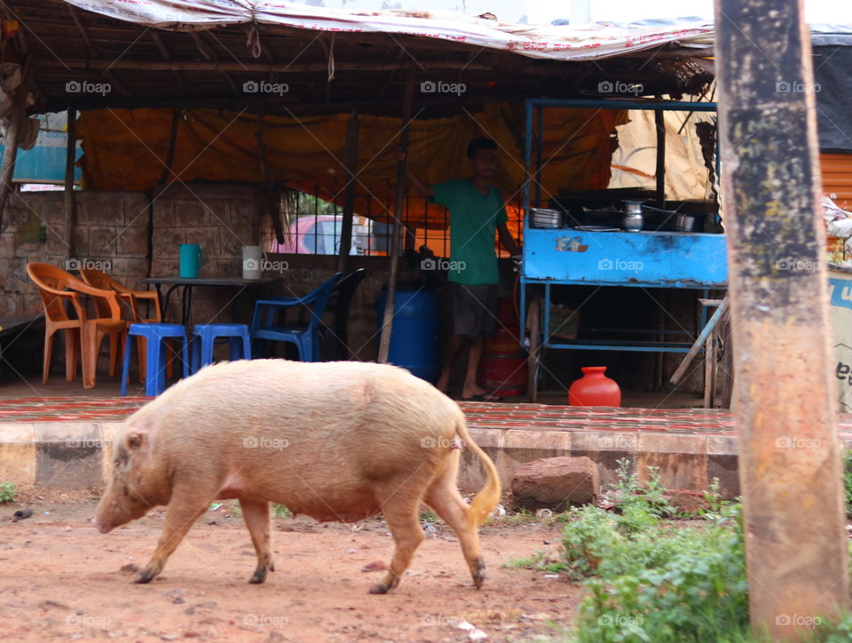 dirty environment restaurant