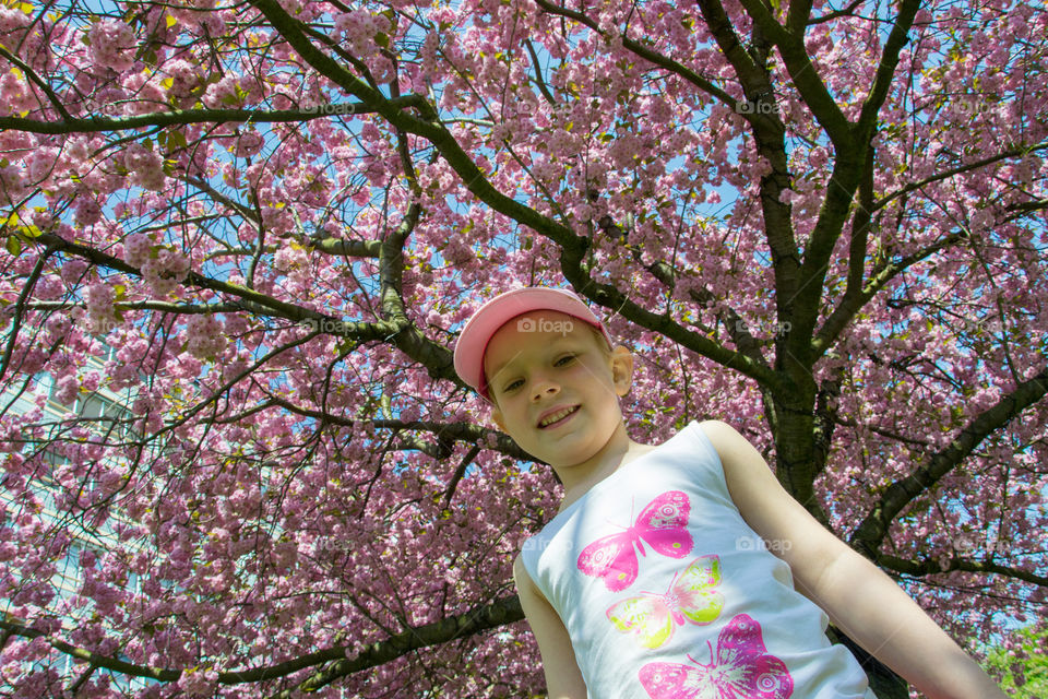 Young girl is playing in the park under a cherry blossom tree in Malmö Sweden.