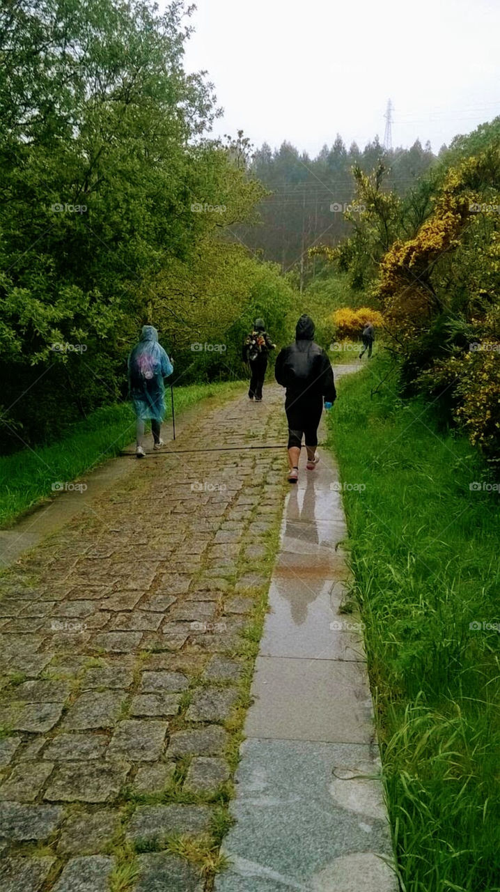 Caminho de Santiago, Spain. Hiking in a rainy day