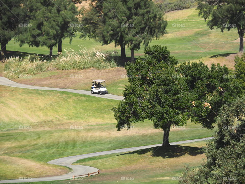 Golf, Tree, Landscape, No Person, Grass