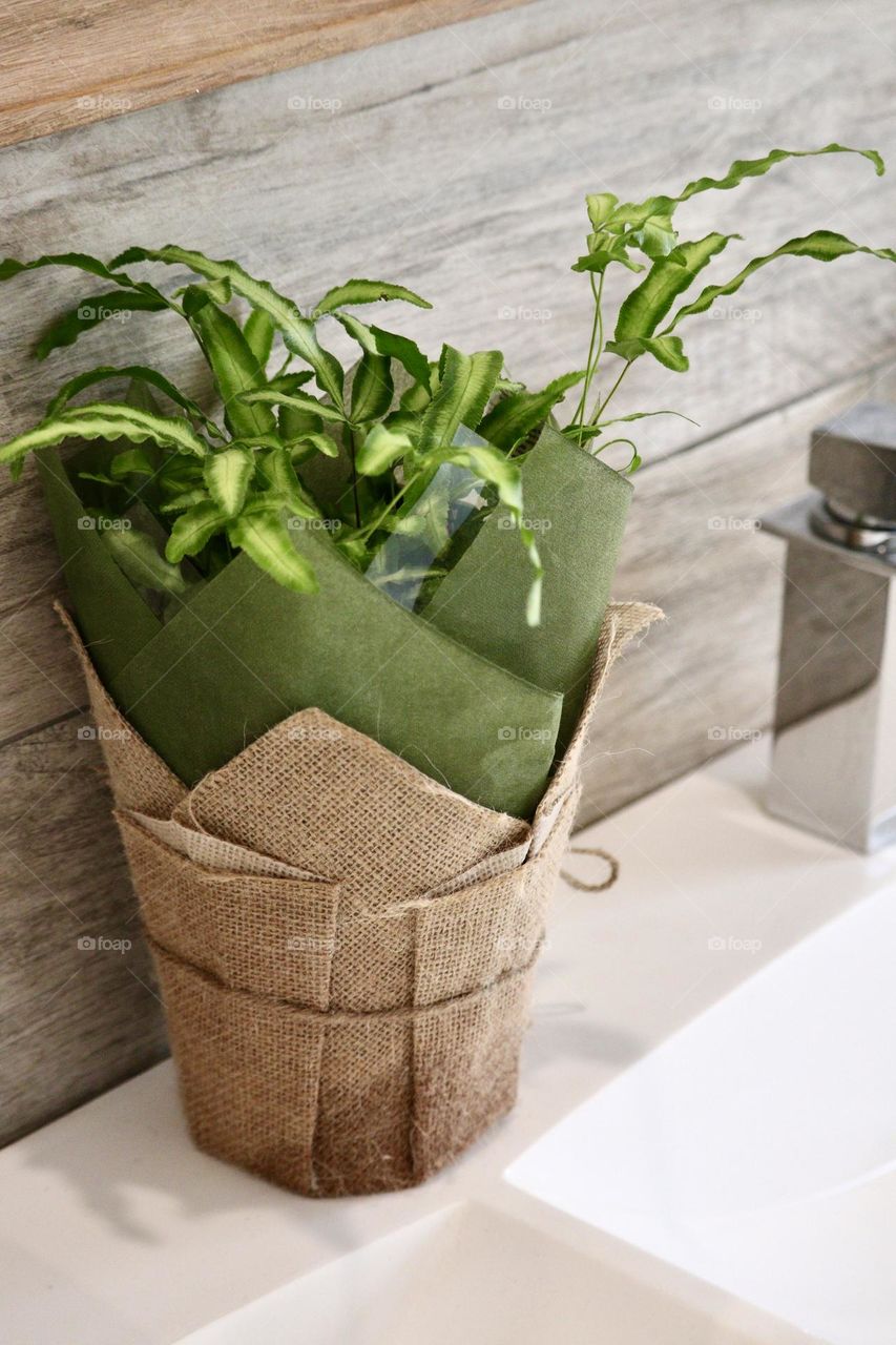 Green potted plant wrapped in earthy burlap and jute twine on bathroom washroom sink, natural home decor