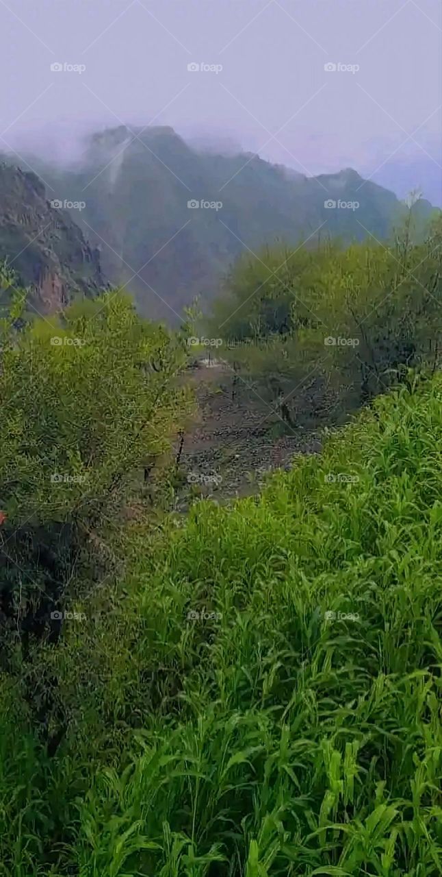 Glory be to God, the magnificent and picturesque view and the natural green trees are a view that is nothing more wonderful than it