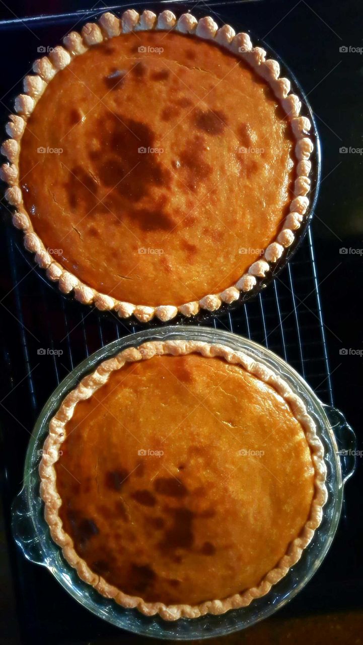 Two homemade pumpkin pies emerging hot from the oven looking delicious.