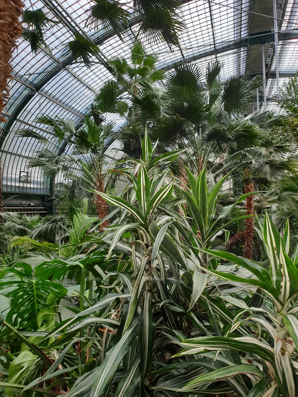 Palmengarten Frankfurt