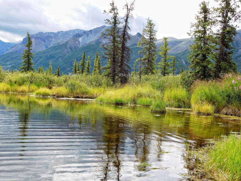 High mountain lake of Alaska's wilderness