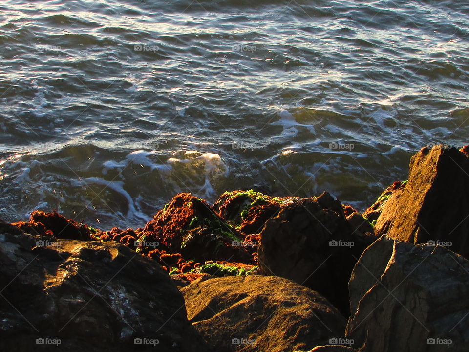 Water, No Person, Ocean, Sunset, Sea