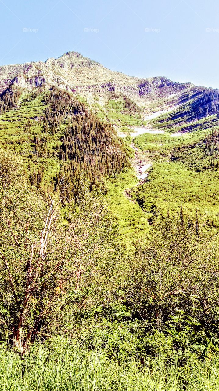 Glacier National Park Scenery
