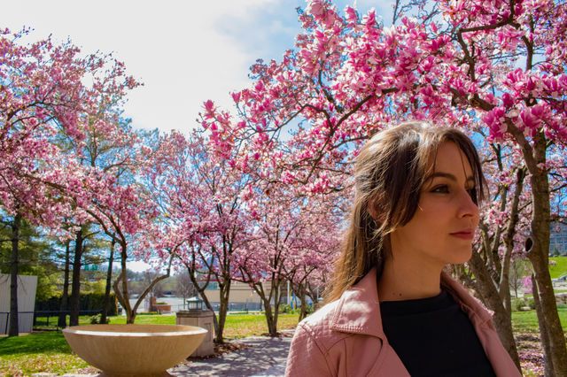 Pink Flowers