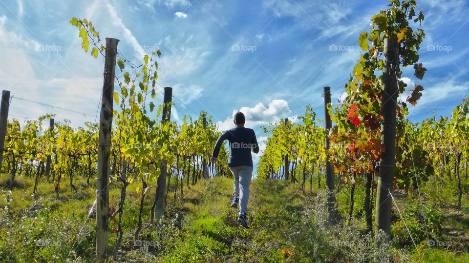 Happy run . Happy run