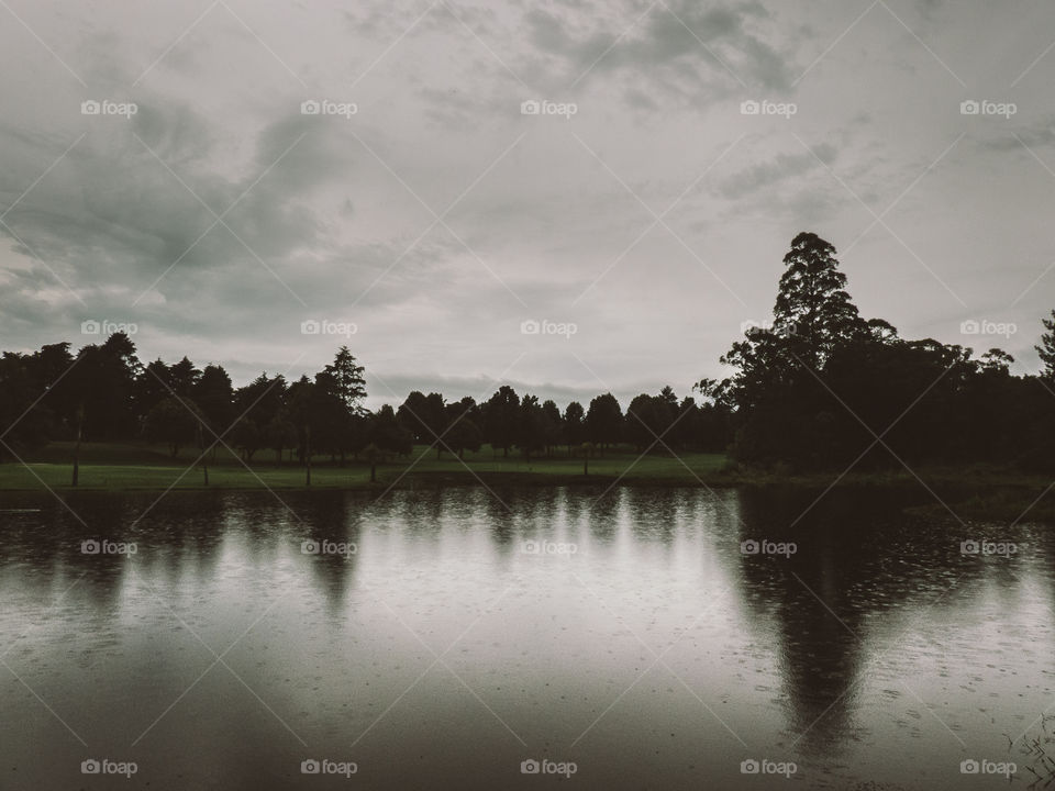 Silhouette of trees reflecting on lake