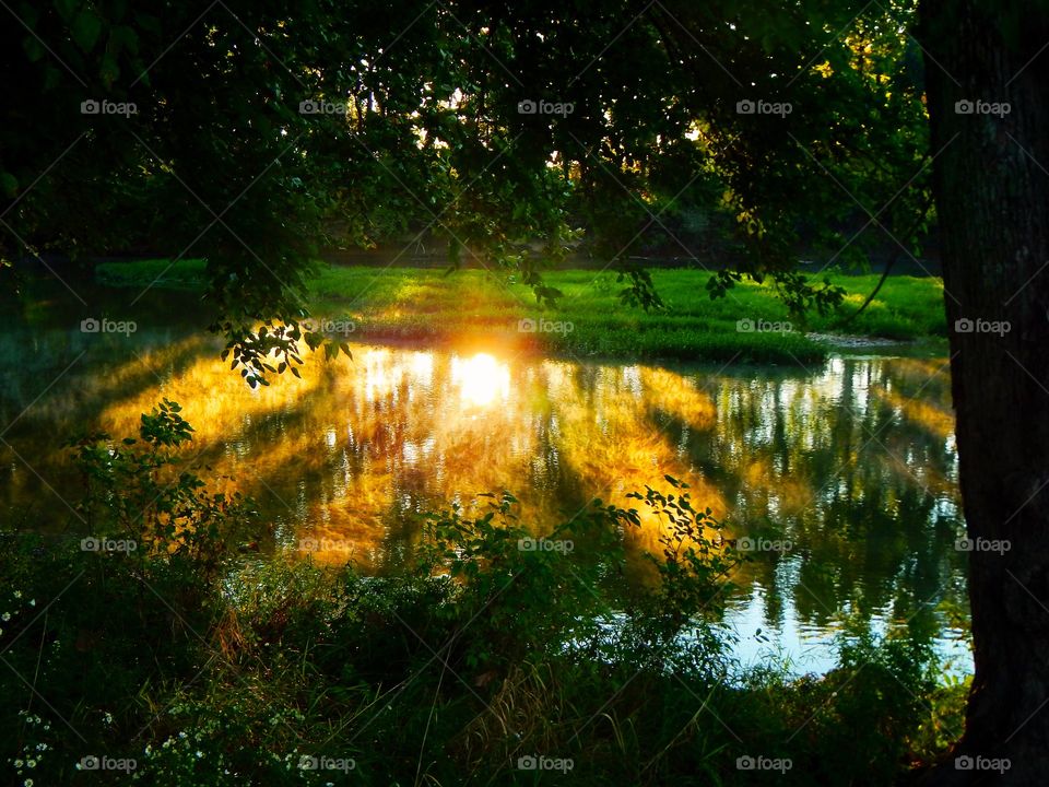 Sunrise on the river with some fog