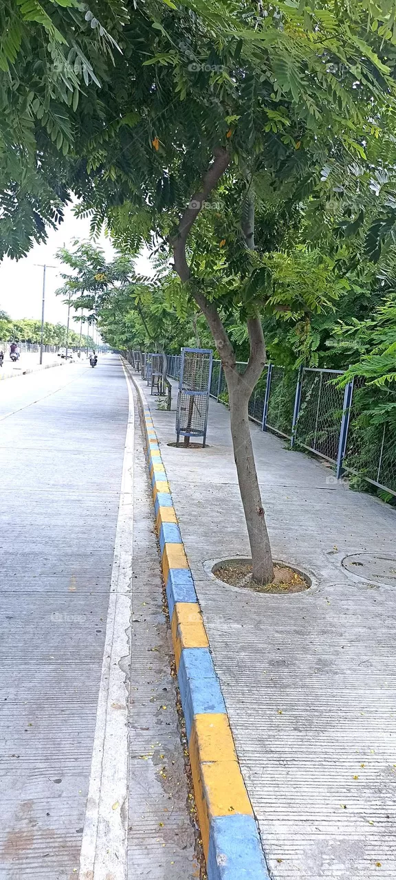 Footpath