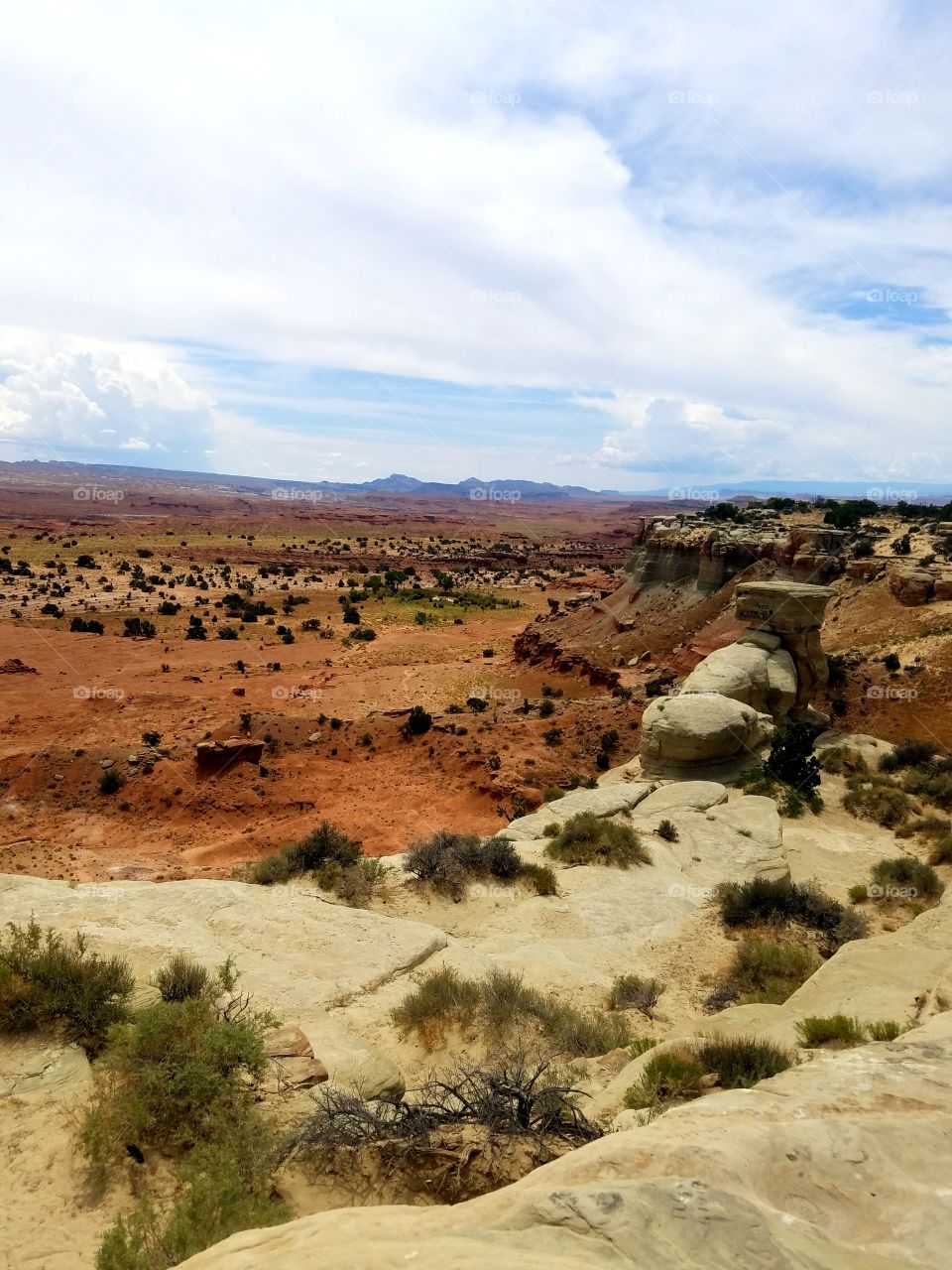Desert plain, Utah