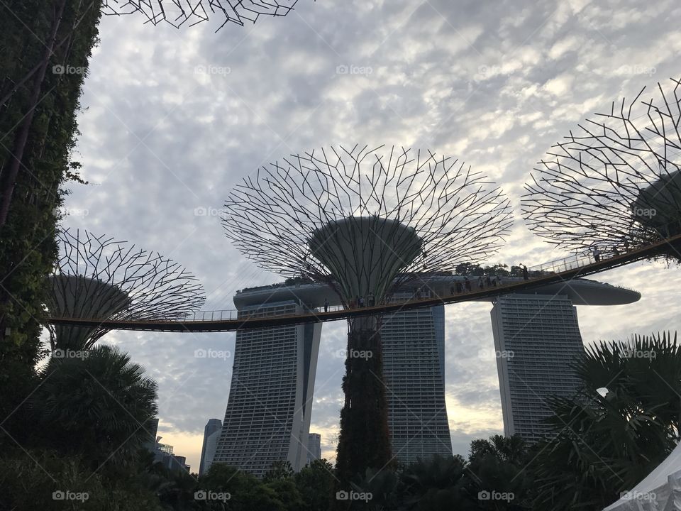 Big Threes Gardens by the Bay in Singapure