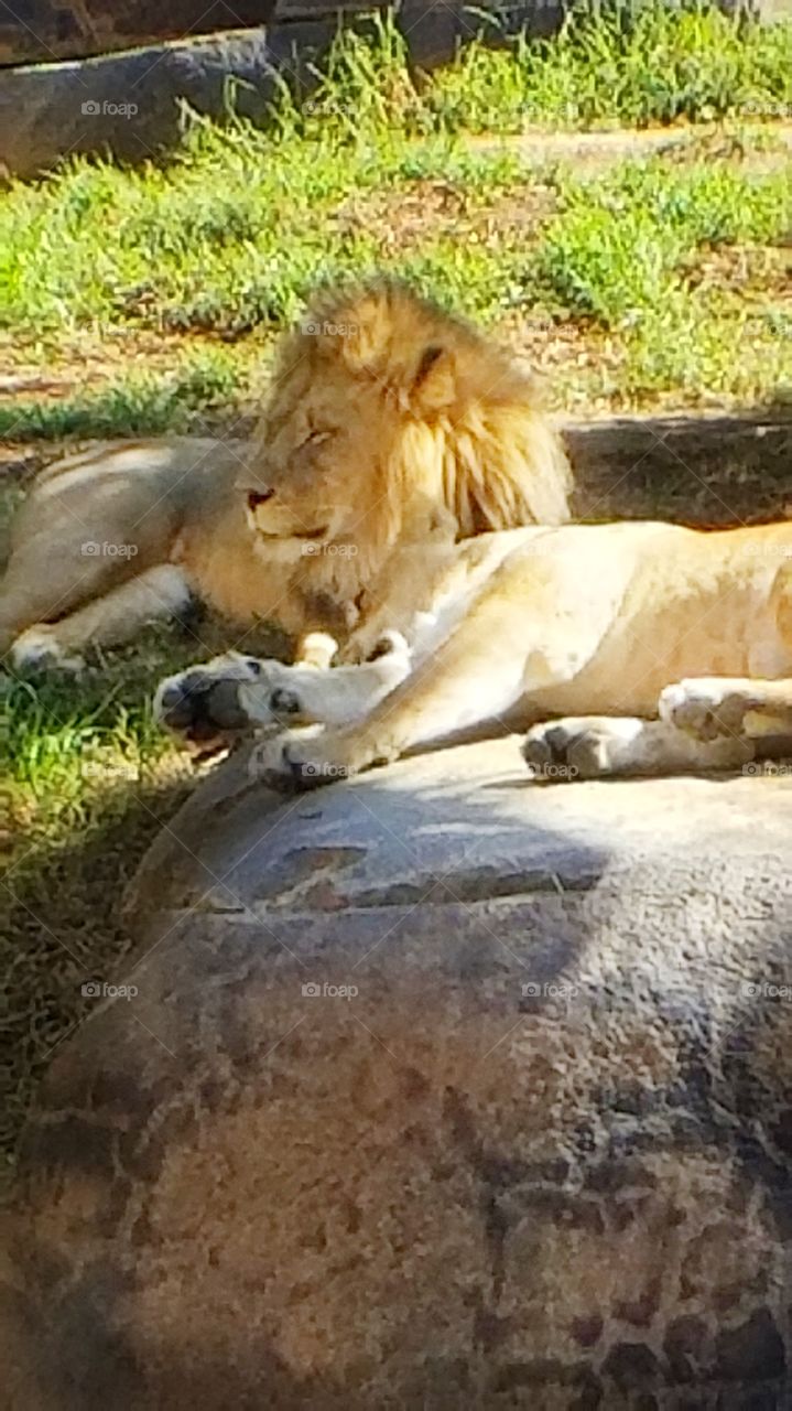 boyfriend girlfriend