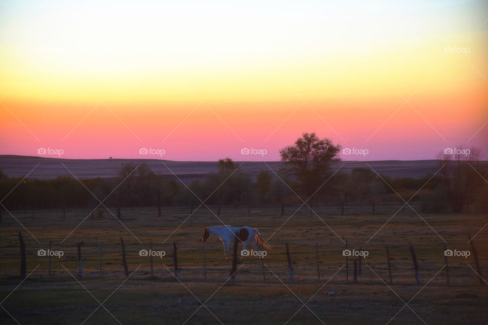 Sunset in Arizona