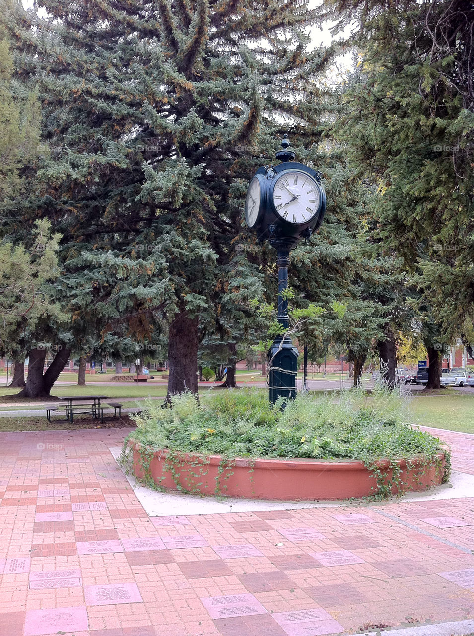 nature trees park clock by sabont