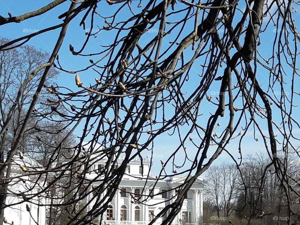 park spring time sun sunny colors colorful nature wild plants flowers amazing stunning cool nice weather hot lovely sky forest grass view splendid