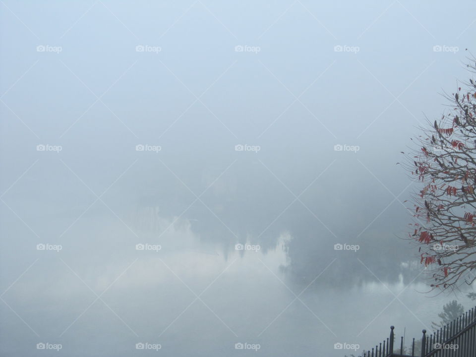 Only fog lake
