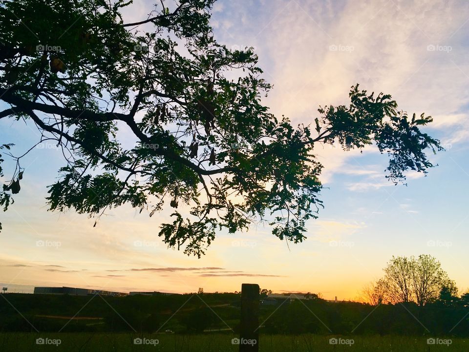 🌅Desperte, Jundiaí. 
Que a jornada diária possa valer a pena!
🍃
#sol #sun #sky #céu #photo #nature #morning #alvorada #natureza #horizonte #fotografia #pictureoftheday #paisagem #inspiração #amanhecer #mobgraphy #mobgrafia #Jundiaí #AmoJundiaí