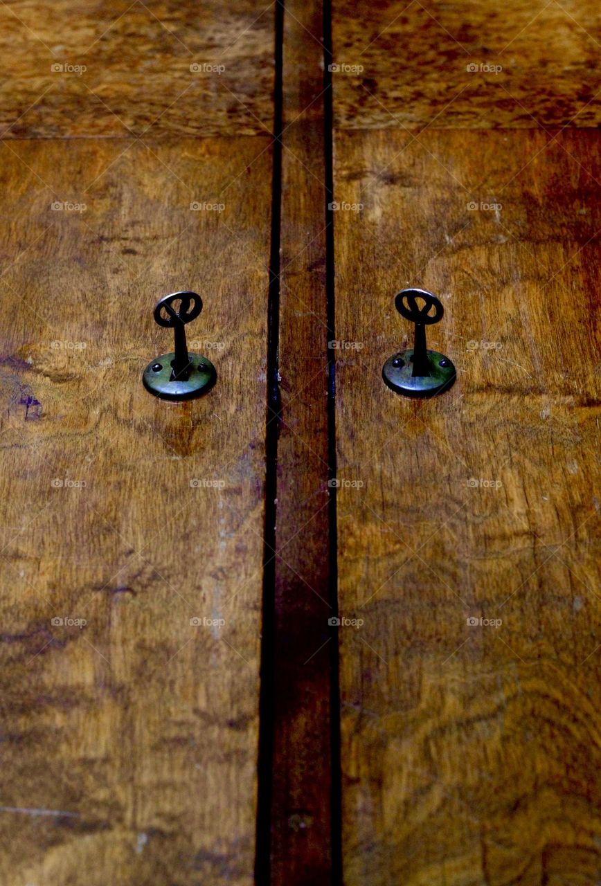 Old caninet from frog’s view