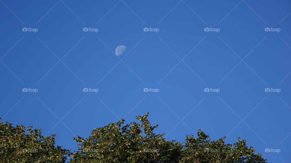 Daytime moon