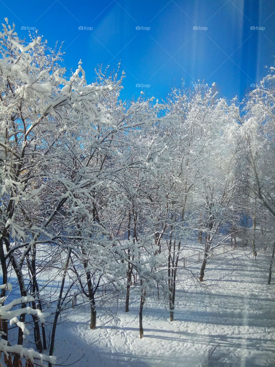 the view from the window. Russian winter.