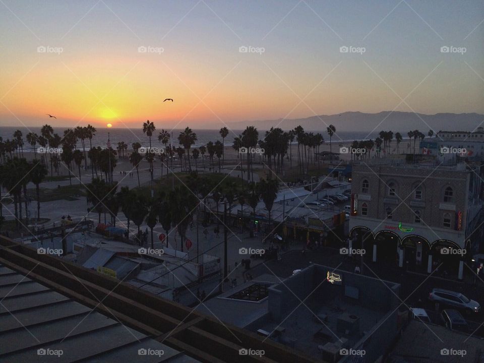 Venice Beach Sunset