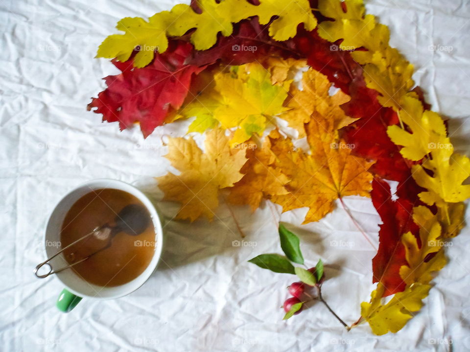 colorful autumn leaves and a cup of tea