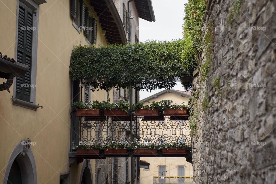 A beautiful view of the city walls decorated with green plants and flowers.  Italy May 2023.