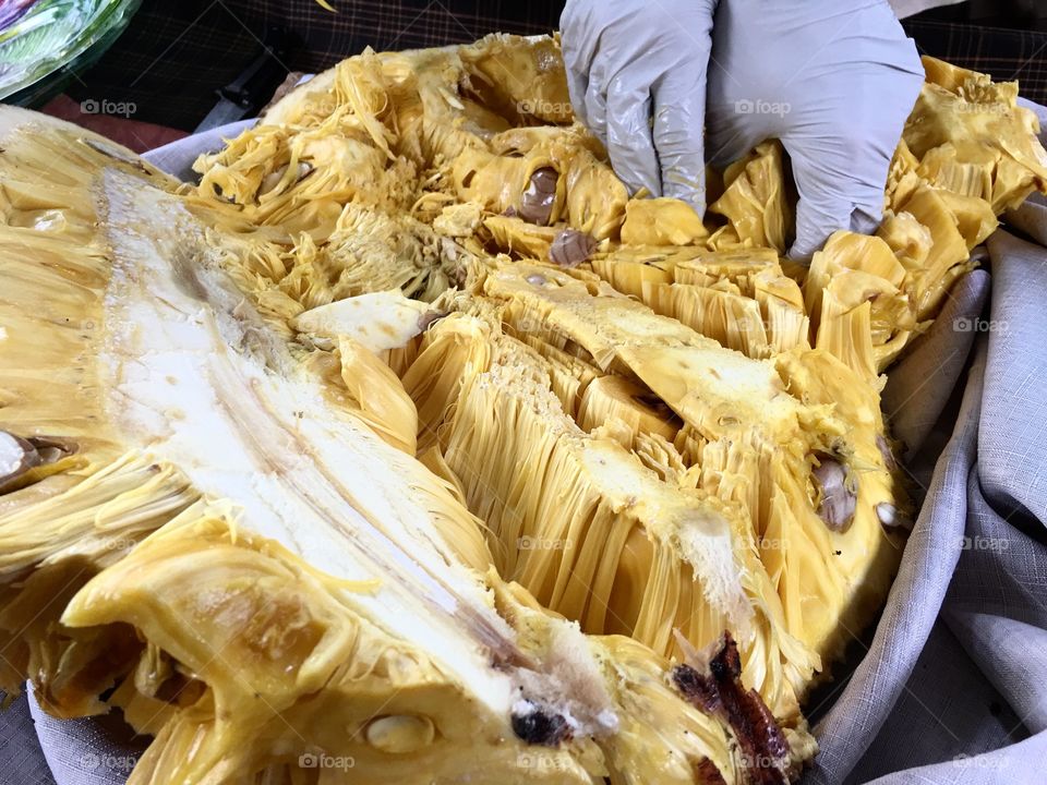 Cutting open a Jack Fruit