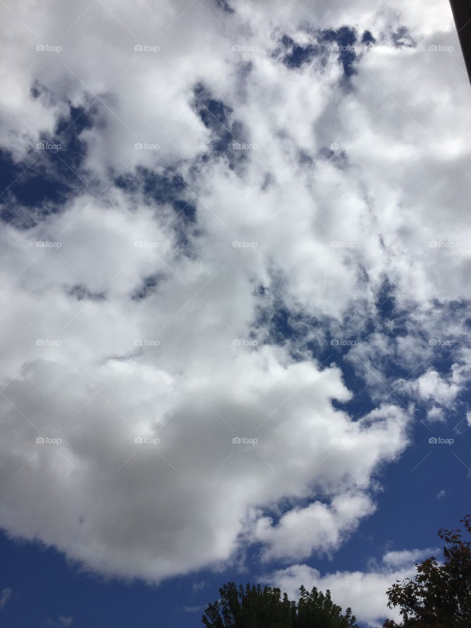 Cloudy day in Oregon 