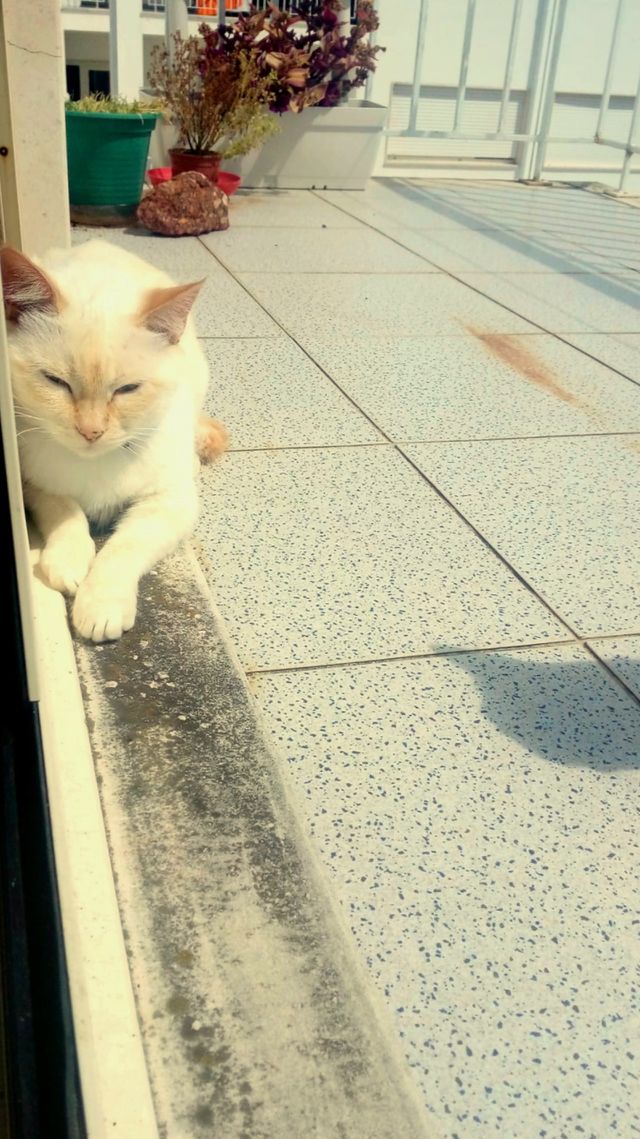 let's get some sun