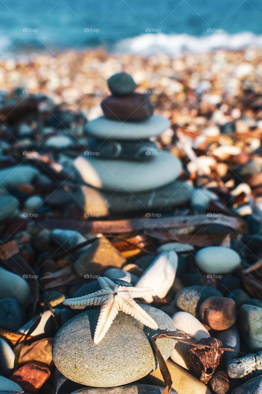 A starfish on a rock on the beach. In the background, other rocks are stacked on top of each other and part of the sea is also visible.