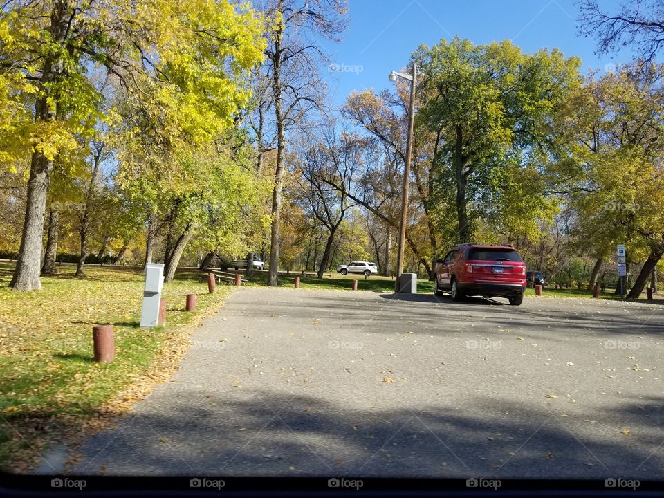 Road, Tree, Guidance, Park, Fall