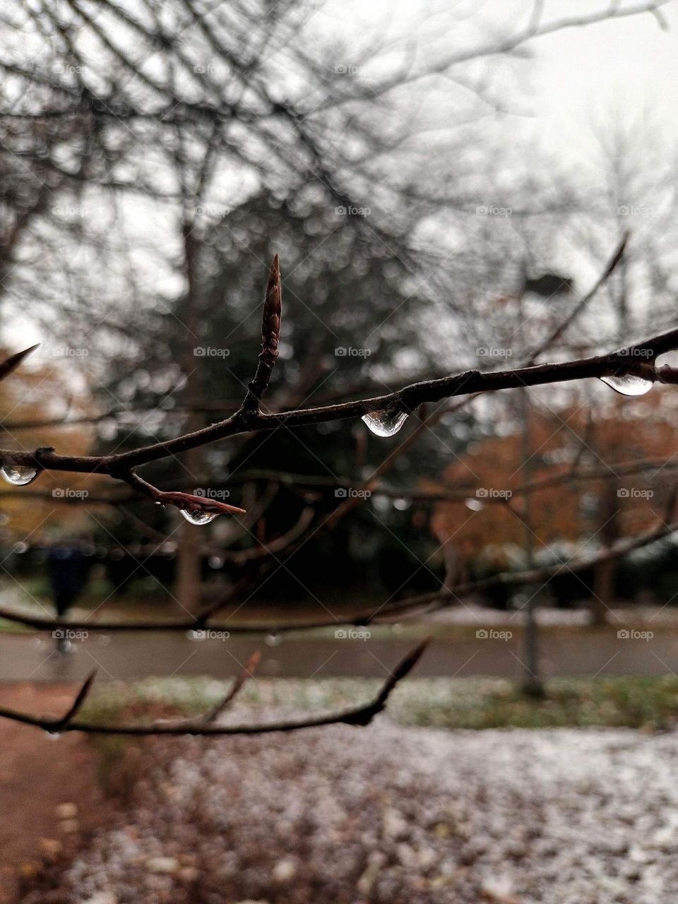 Parc de Mariemont , la Louvière