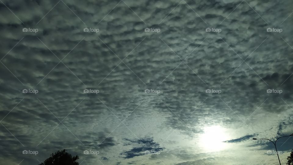 A Day look like a evening