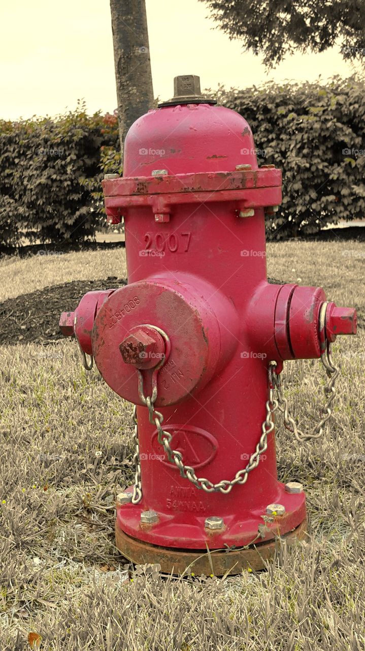 Red fire hydrant. colorful red fire hydrant