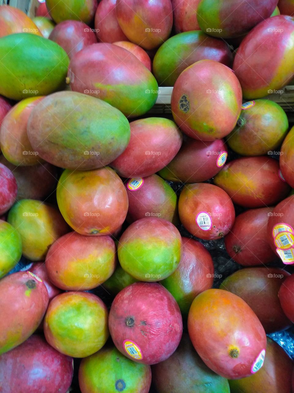 look at all that fruit -mangos