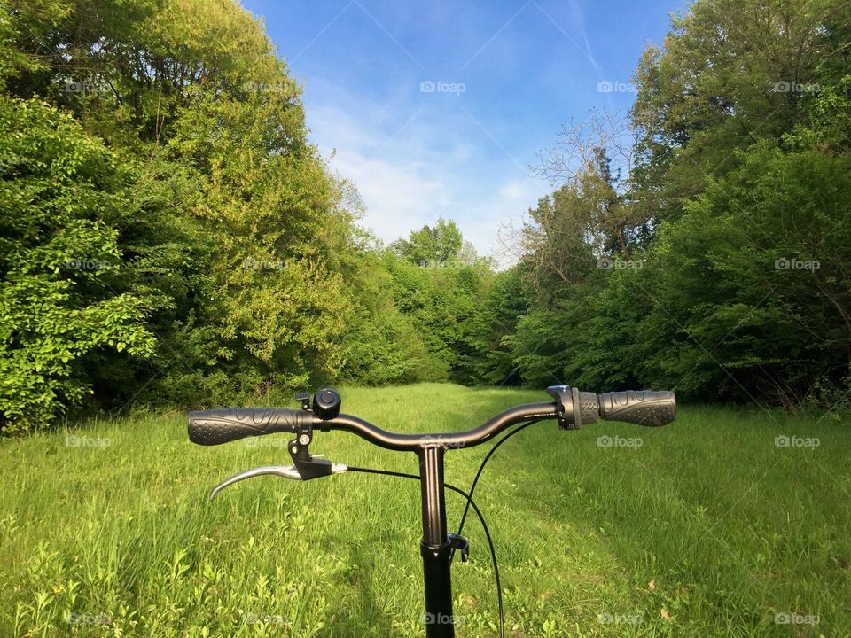 Bicycle handlebars surrounded by green forest and blue sky in spring