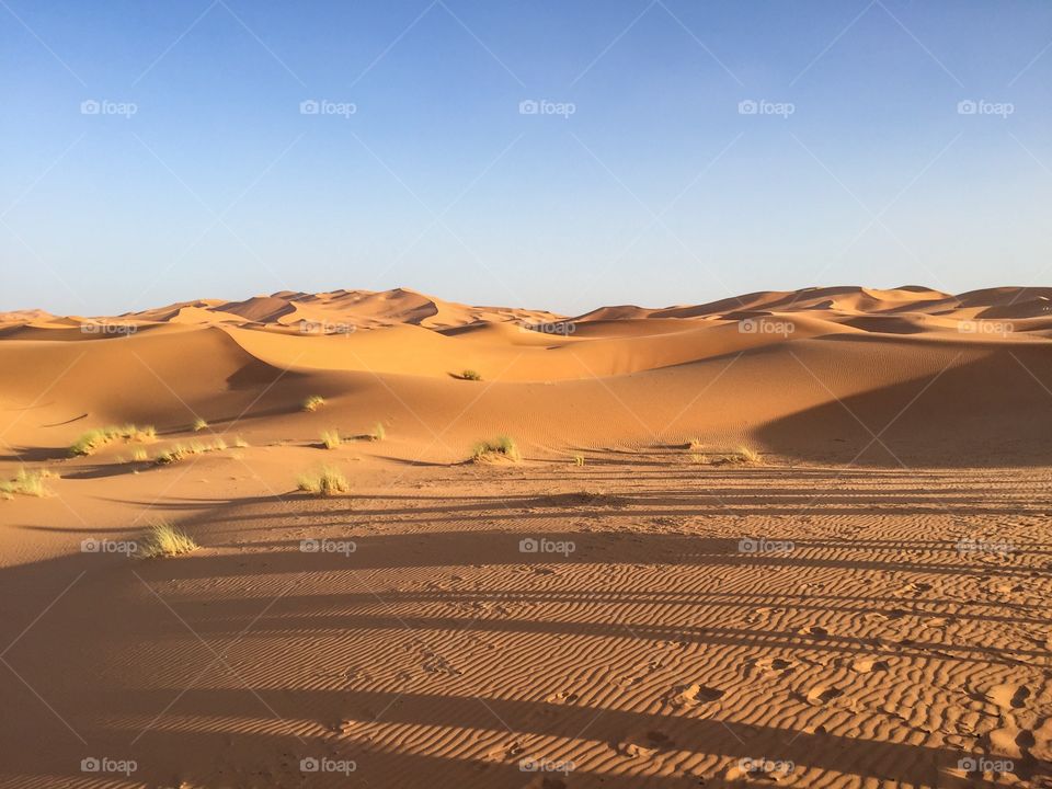 Sahara Desert 