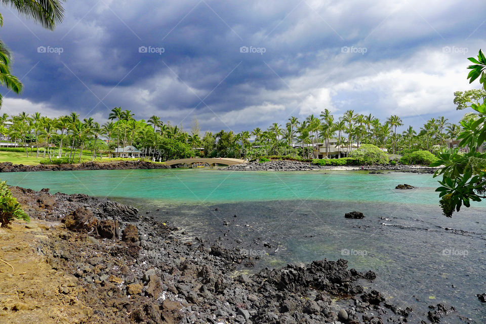 storm clouds, laguna, plam trees