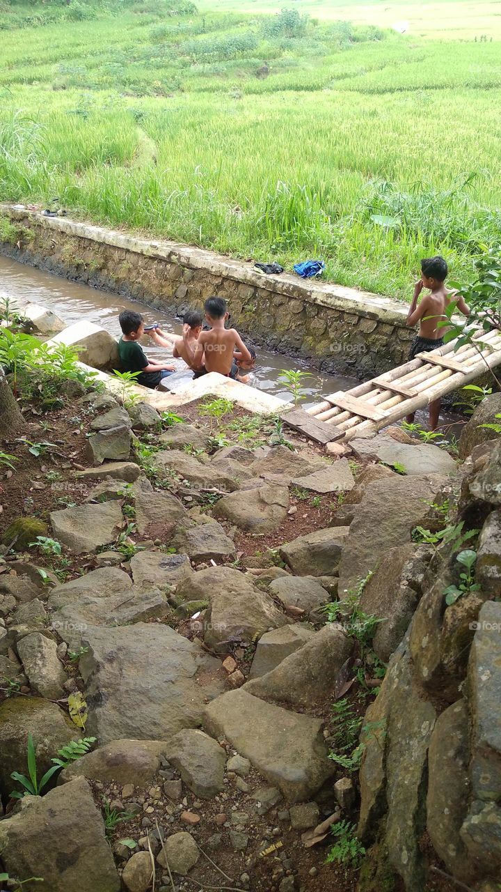 A small child who is cool playing in a small river on the edge of a rice field