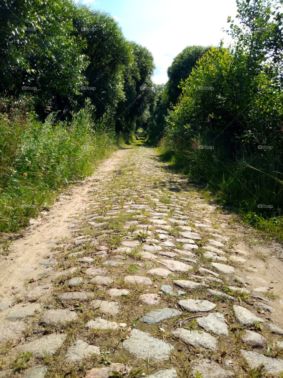 старинная дорога каменка