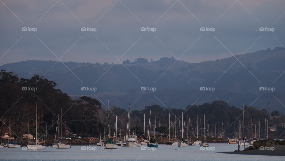 Harbor in a coastal town