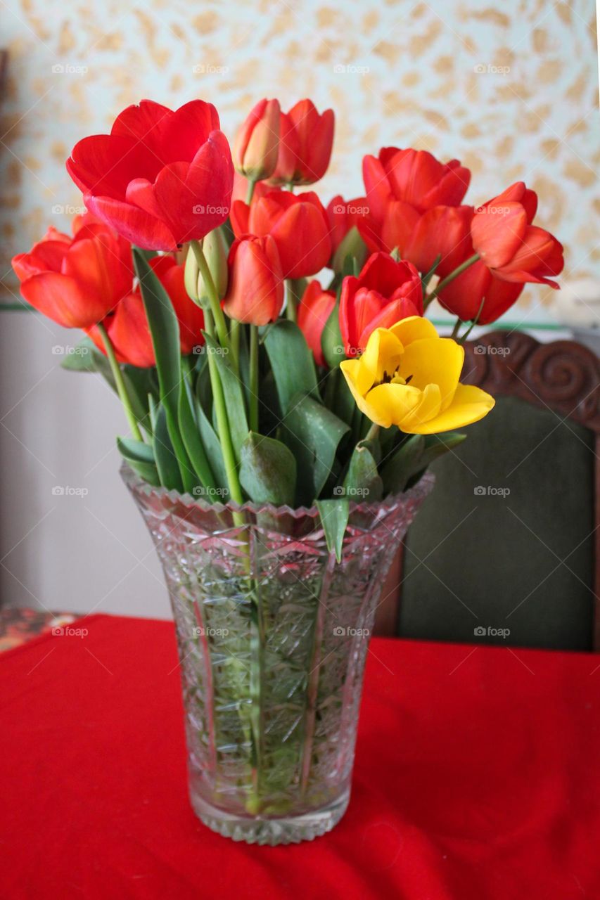 Tulips