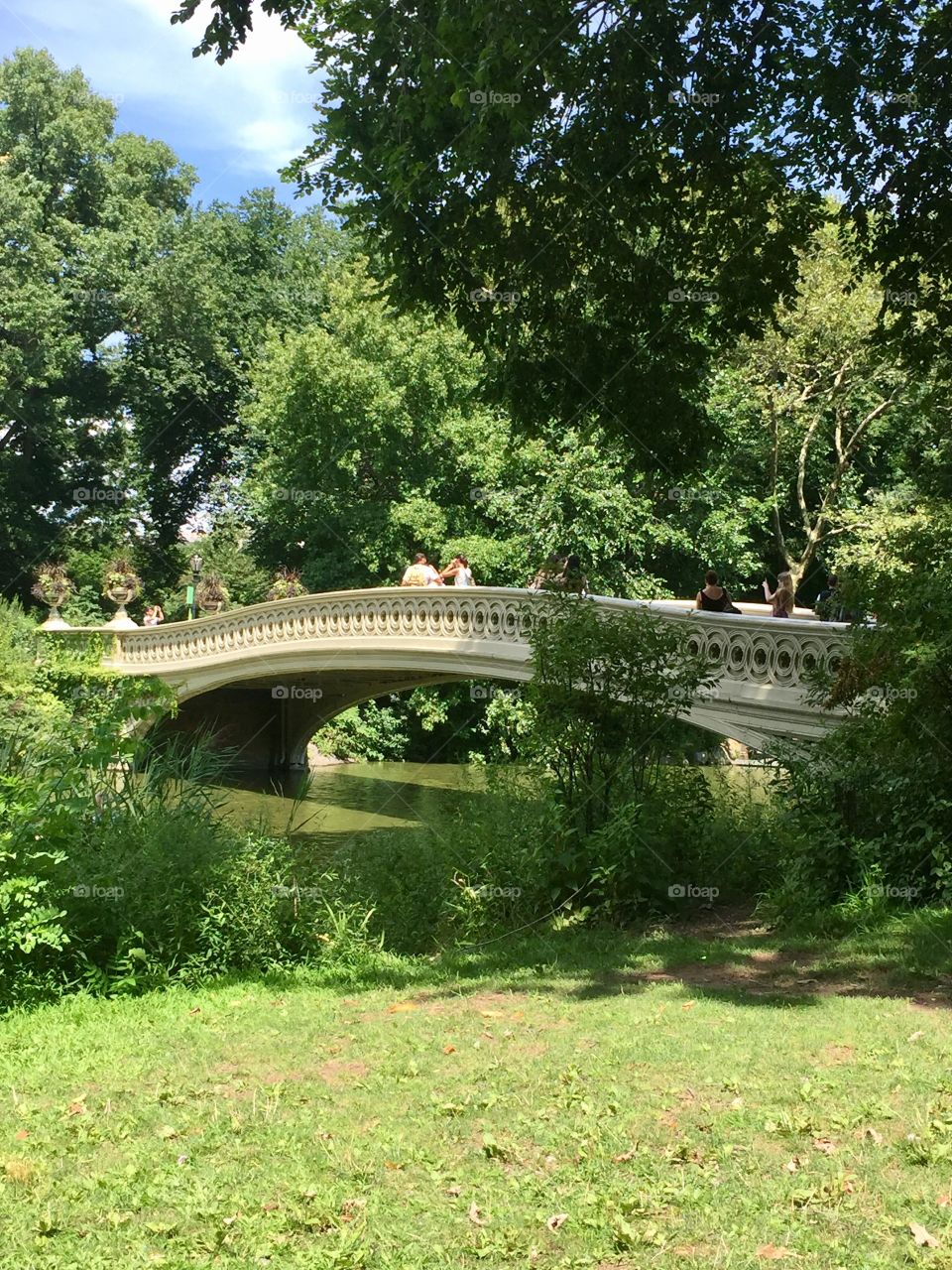 New York, central park