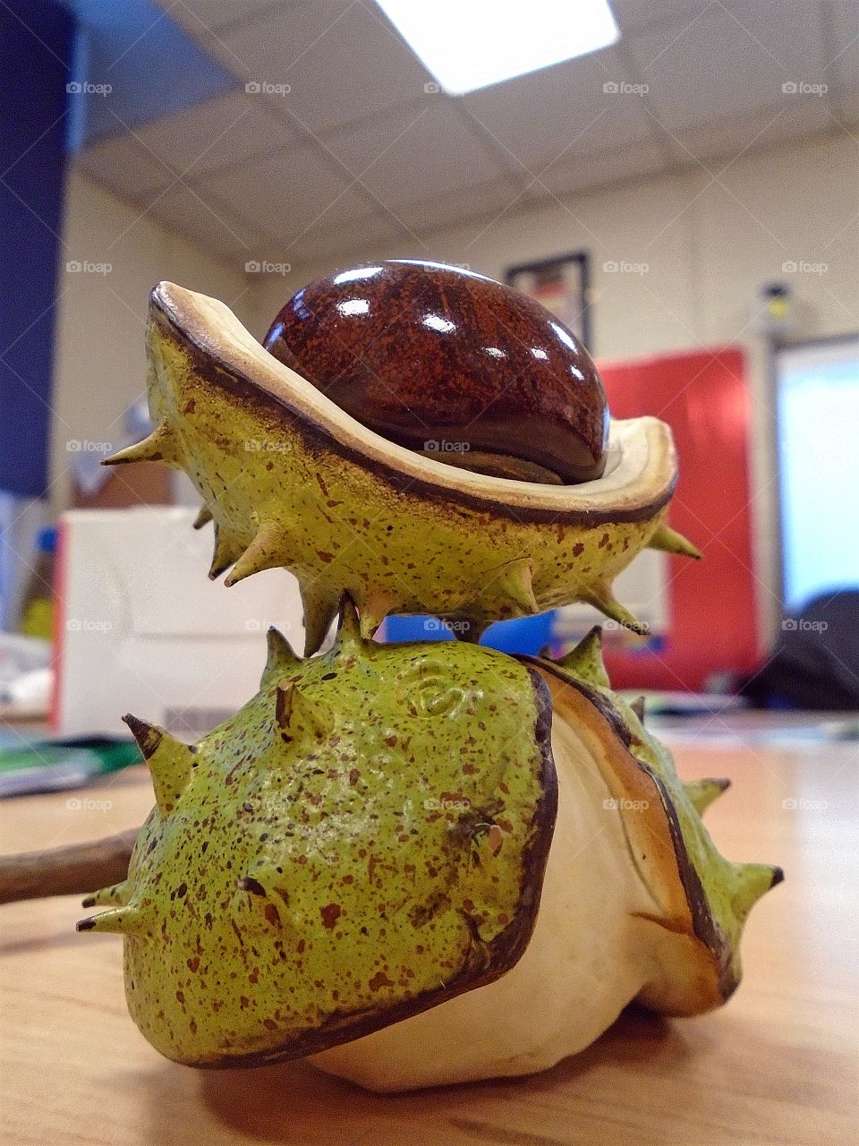 a face conker I guess