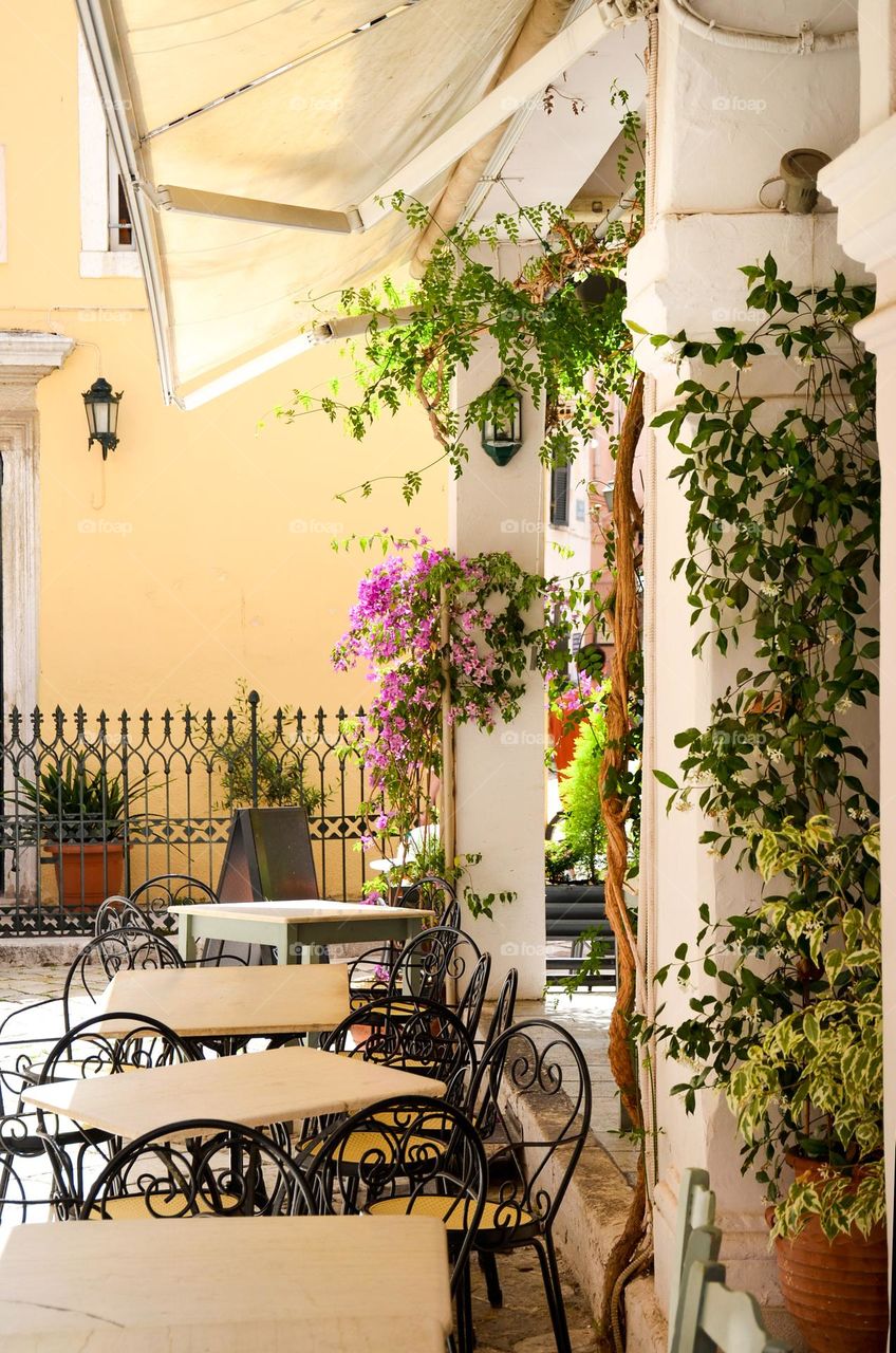 Beautiful Street Decoration with Plants and Flowers in Corfu