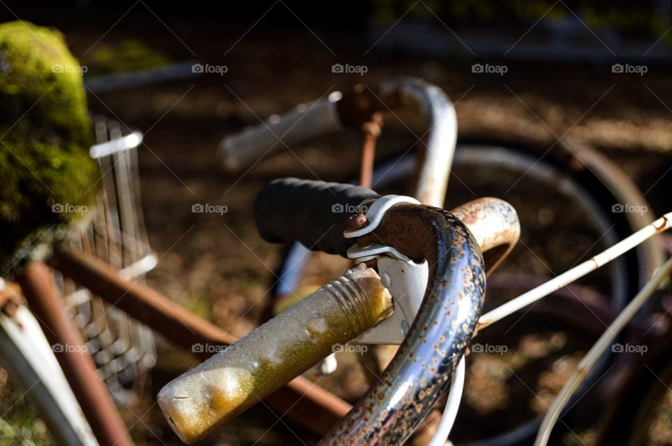Bike handles
